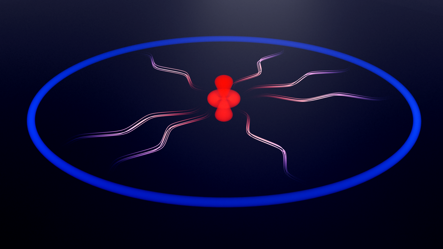 Circular Rydberg qubit talks to its ionic core